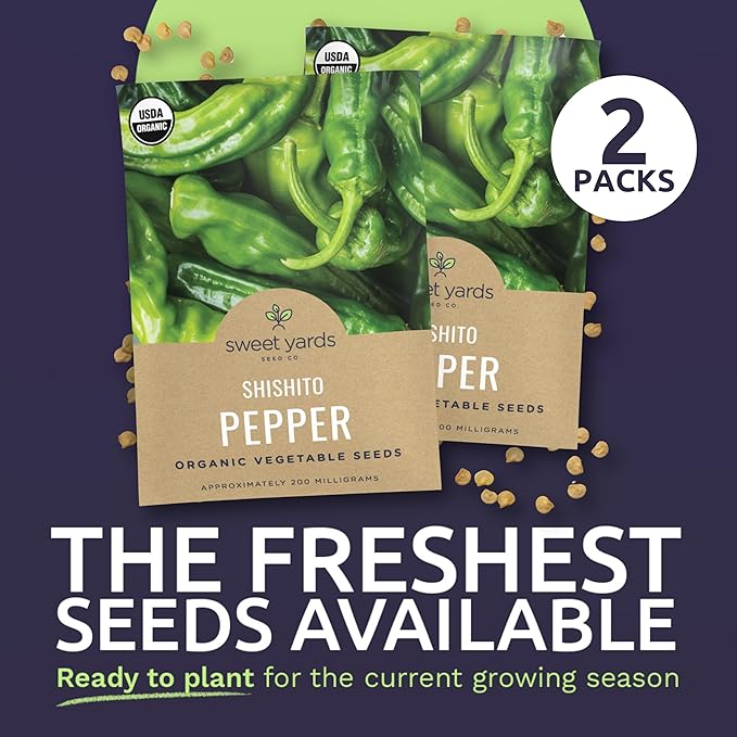 Organic Shishito Pepper Seeds – Two Seed Packets! – Approx 25 Open Pollinated Non-GMO Seeds Per Packet (50 Total) – Sweet Yards Seed Co.