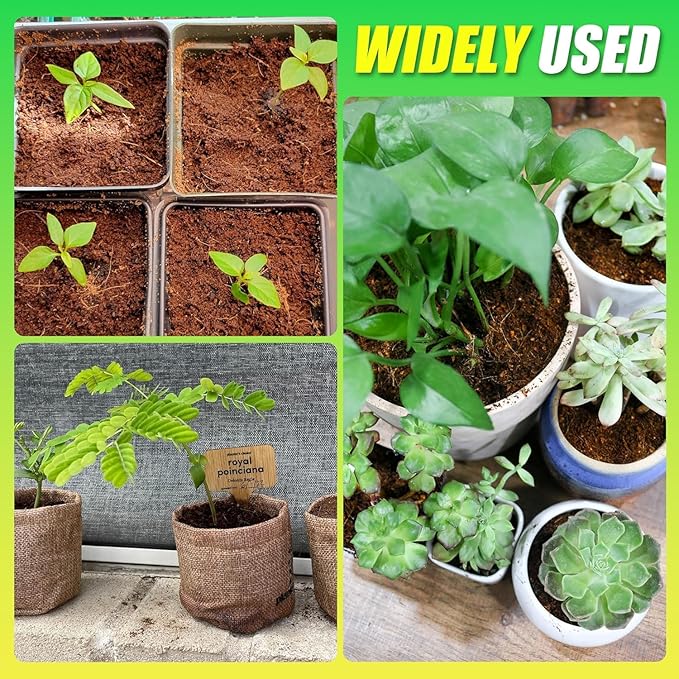 Anothera Coco Coir Brick for Plants- 12 Pack Premium 100% Organic Peat Moss Mix with Low EC & pH Balance, Fiber Coconut Husk for Planting, Gardening, Potting Soil Substrate