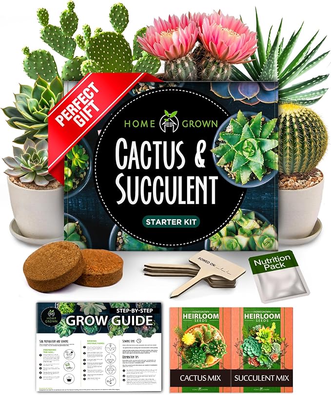 HOME GROWN Succulent & Cactus Seed Kit for Planting – Premium Starter Kit with 4 Planters, Drip Trays, Markers, Seed Mix, and Soil - Perfect DIY Gift for Plant Enthusiasts