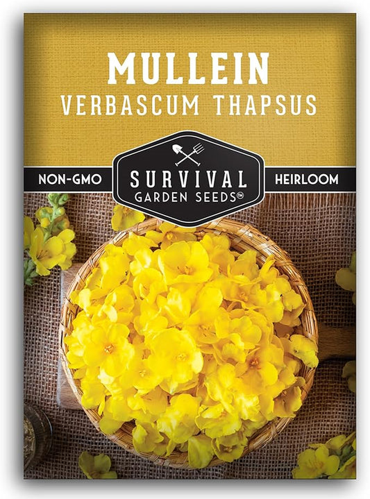 Mullein Seed for Planting - 1 Packet with Instructions to Plant and Grow Medicinal Herb Common Mullein in Your Home Vegetable Garden - Non-GMO Heirloom Variety - Survival Garden Seeds