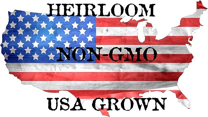 Genovese Basil Seeds for Planting - Heirloom Non-GMO USA Grown - 150+ Seeds - Premium Sweet Basil Seeds for Indoors or Outdoors by RDR Seeds