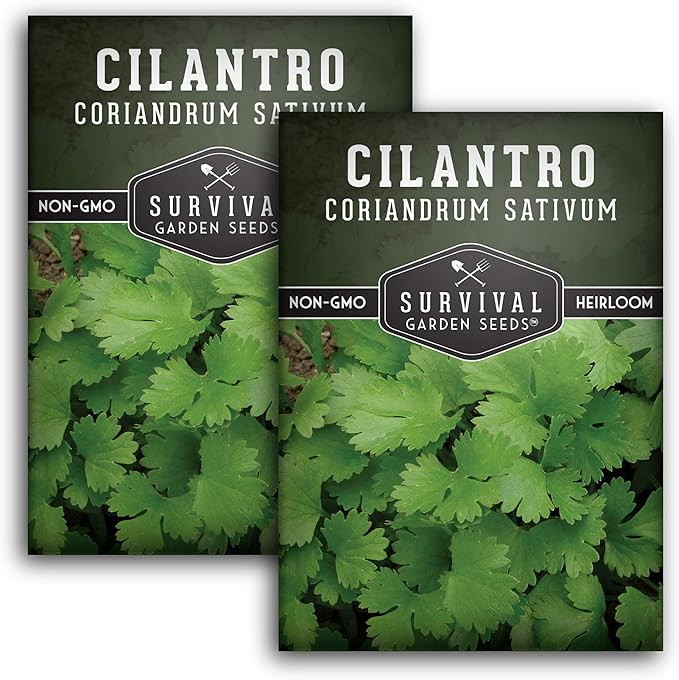 Survival Garden Seeds - Cilantro Seed for Planting - Packet with Instructions to Plant & Grow Coriandrum Sativum Herb in Your Home Vegetable Garden - Seed Vault - Non-GMO Heirloom Variety - 2 Packs