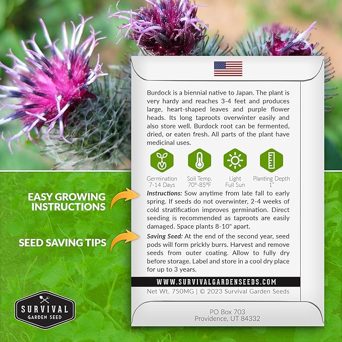 Burdock Seed for Planting - 5 Packets with Instructions to Plant and Grow Burdock Root (GOBO) in Your Home Vegetable Garden - Non-GMO Heirloom Variety- Survival Garden Seeds