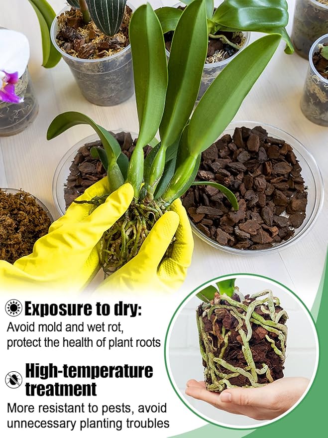 5 Quarts Orchid Potting Bark, Sun-Dried New Zealand Medium Organic Pine Wood Chip Barks for Orchids Plant Compost Soil, Natural Houseplant Mulch for Plant Development