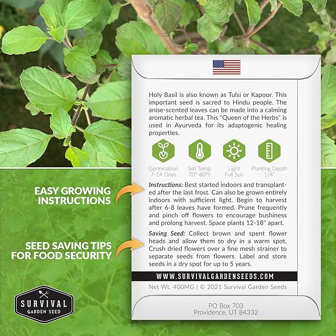 Survival Garden Seeds - Holy Basil Seed for Planting - 3 Packs with Instructions to Plant and Grow The Indian Sacred Herb Tulsi in Your Home Vegetable Garden - Non-GMO Heirloom Variety