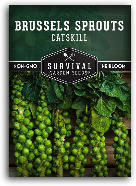 Survival Garden Seeds - Catskill Brussels Sprouts Seed for Planting - Packet with Instructions to Plant and Grow Tasty Cruciferous Vegetables in Your Home Vegetable Garden - Non-GMO Heirloom Variety