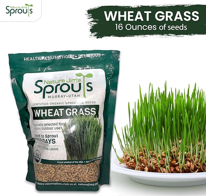 Nature Jims Sprouts Wheatgrass Seeds - 100% Organic Wheat Grass Seed for Sprouting - Cat Grass Planter Seeds, Rich in Vitamins, Fiber and Minerals - Non-GMO, Healthy Wheatgrass Sprout Growing Seed