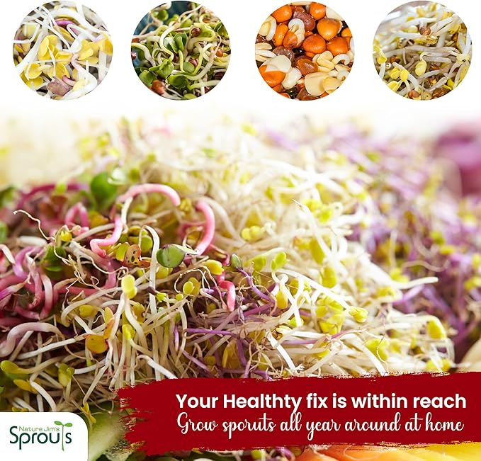 Nature Jims Radish Sprout Seeds – 16 Ounce Organic Sprouting Seeds – Non-GMO Premium Radish Seeds – Resealable Bag for Longer Freshness – Rich in Vitamins, Minerals, Fiber