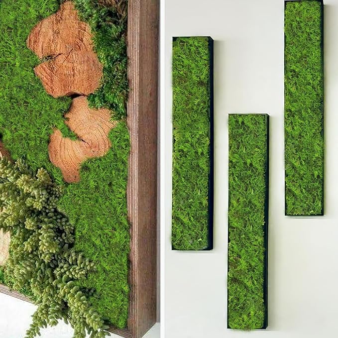 2 Pcs Preserved Sheet Moss for Potted Plants 2 sq.ft. Dried Natural Preserved Moss Mat Green Moss Sheets for Planters Crafts Woodland Decor Garden Party Decorations Wall Art DIY Project Green