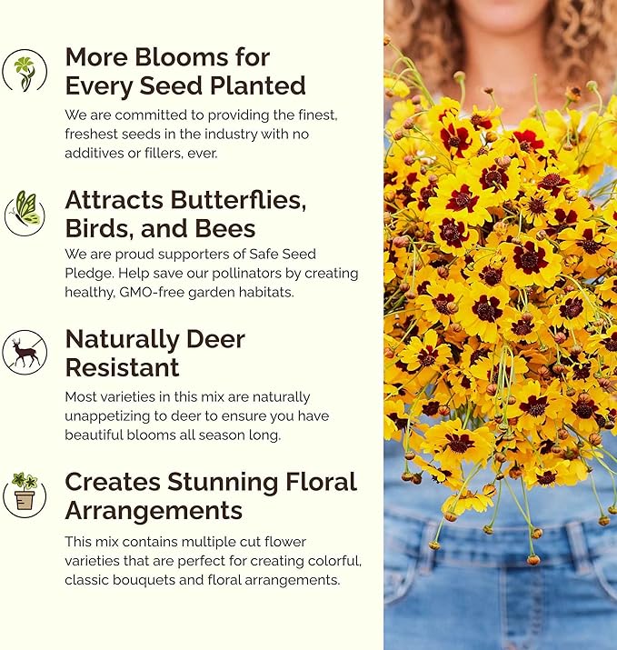 Eden Brothers Southwest Wildflower Mixed Seeds for Planting, 1 lb, 480,000+ Seeds with Cornflower, Blanket Flower | Attracts Pollinators, Plant in Spring or Fall, Zones 3, 4, 5, 6, 7, 8, 9, 10