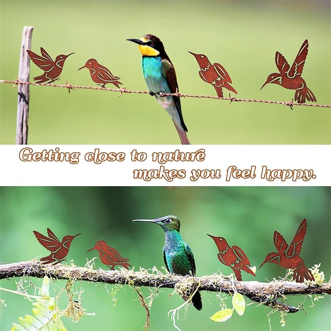 5PCS Rusty Birds Decoration, Outdoor Metal Birds Decor for Yard, Wall & Fence - Hummingbirds Craft Statue Ornaments - Garden Sculptures and Yard Art - Rustic Garden/Farmhouse Decor, Double-Side Design