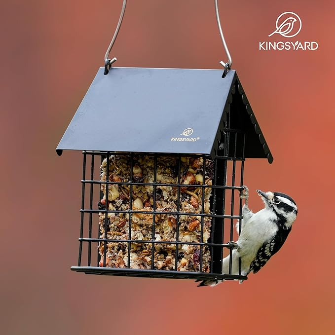 Kingsyard Double Suet Bird Feeder with Weatherproof Roof & Perch, All Metal, Suet Cakes Cage Bird Feeder for Outdoors Hanging, Easy to Clean & Refill, Black