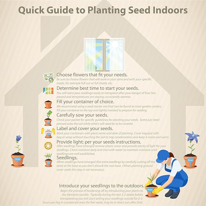 Outsidepride 100 Seeds Perennial Mina Lobata Firecracker Flowering Vine Seeds for Planting