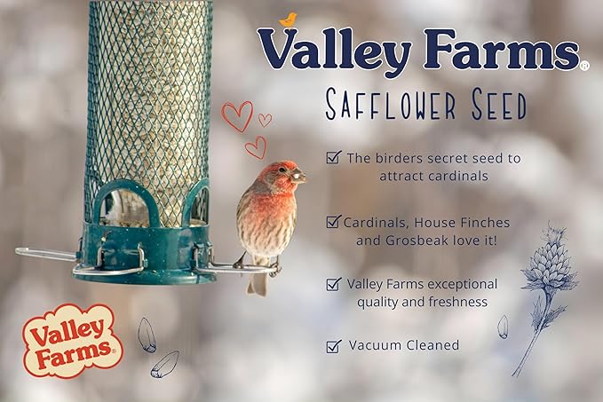 Valley Farms Safflower Seed Wild Bird Food (4 LB) Birdseed for Outside Feeders to Attract Cardinals, Titmice & Grosbeaks