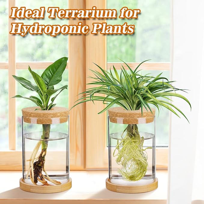 Plants Propagation Station - 2Pcs Desktop Plant Terrarium Glass Hydroponic Vases, Water Plant Propagating Jars, Gardening Gifts for Women Mom Plant Lovers (Thick Straight Shape, Separated Tray Style)