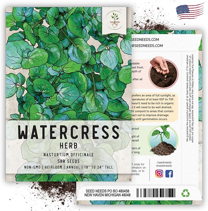 Seed Needs Watercress Seeds for Planting - Non-GMO, Heirloom & Untreated - Organically Grow Your own Culinary Herb Garden Indoors or Outdoors (2 Packs)