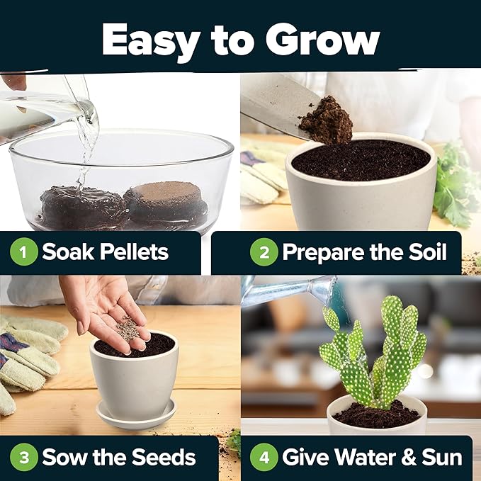 HOME GROWN Succulent & Cactus Seed Kit for Planting – Premium Starter Kit with 4 Planters, Drip Trays, Markers, Seed Mix, and Soil - Perfect DIY Gift for Plant Enthusiasts
