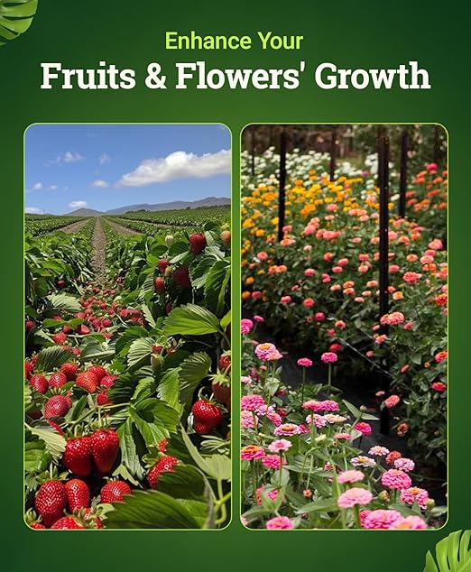 FoxFarm Cultivation Nation Bloom Fertilizer - Enhanced Bud & Fruit Development, Ideal for Soil, Soilless Media, Hydroponics & Aeroponics - Part 3 of 3-Part Feeding Program- NPK 0-5-4 (Quart)