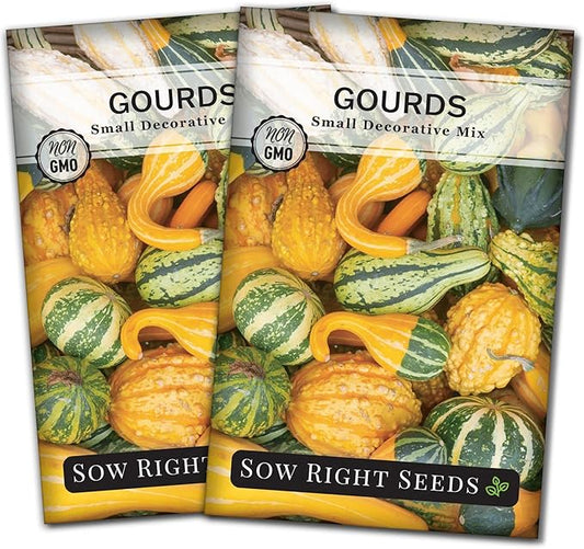 Sow Right Seeds - Decorative Small Gourds Mix Seed for Planting - Non-GMO Heirloom Packet with Instructions to Plant & Grow an Outdoor Home Vegetable Garden - Fun, Colorful and Unique Squash (2)