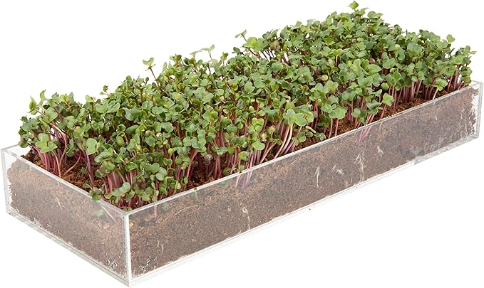 Window Garden Microgreens Grow Kit - Non GMO, Organic Microgreen Seeds, Fiber Soil, Acrylic Tray, Sprayer - Indoor & Outdoor Tools for Gardening, Seedling, Planting Superfood, Hydroponic Growing Kit