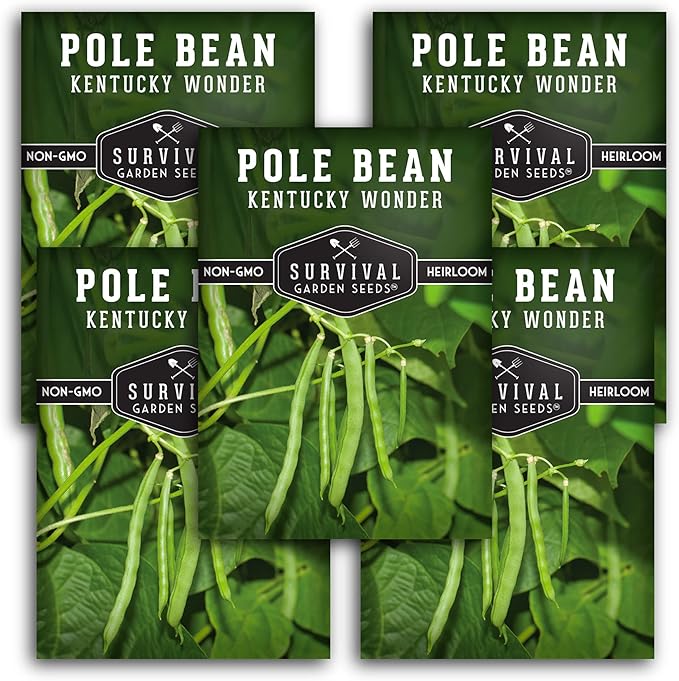 Survival Garden Seeds - Kentucky Wonder Pole Bean Seed for Planting - 5 Packs with Instructions to Plant and Grow Green Snap Beans in Your Home Vegetable Garden - Non-GMO Heirloom Variety