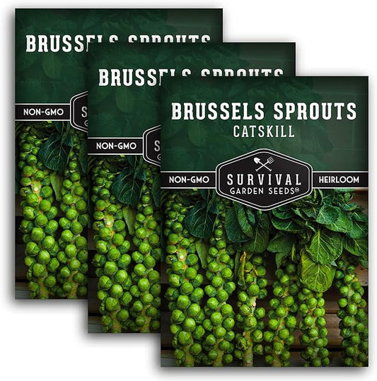 Survival Garden Seeds - Catskill Brussels Sprouts Seed for Planting - 3 Packs with Instructions to Plant and Grow Tasty Cruciferous Vegetables in Your Home Vegetable Garden - Non-GMO Heirloom Variety