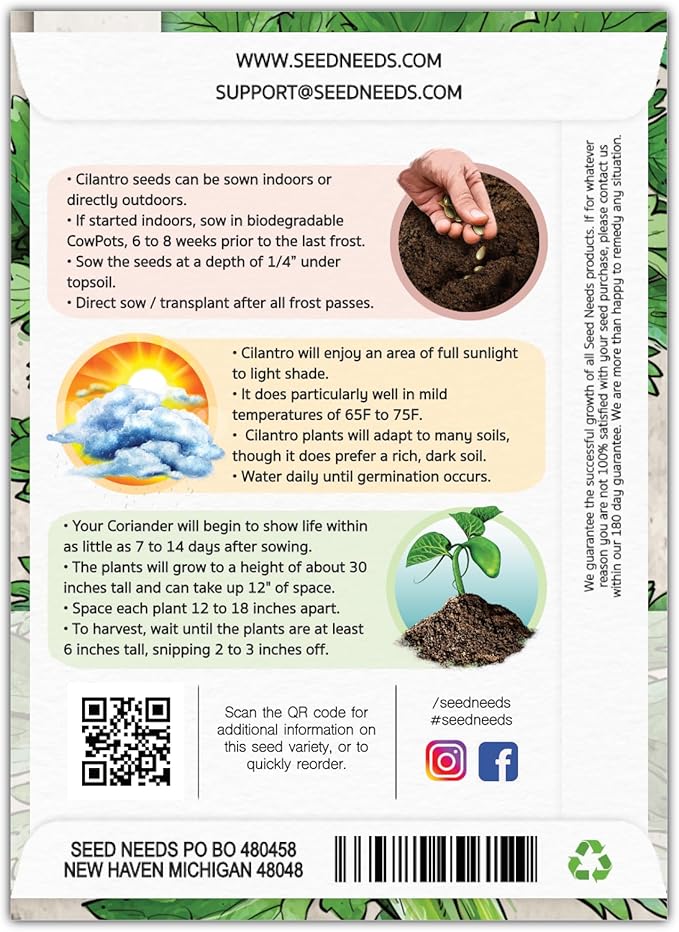 Seed Needs Cilantro Seeds for Planting Coriander Kitchen Herbs - Non-GMO, Heirloom & Untreated - Organically Grow a Home Grown Herb Garden Indoors or Outdoors (5 Packs)