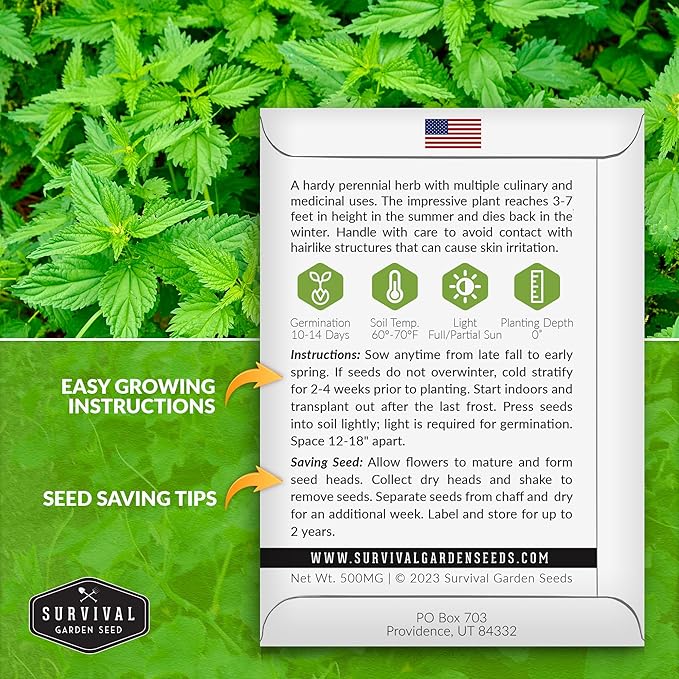 Stinging Nettle Seed for Planting - 1 Packet with Instructions to Plant and Grow Medicinal Herb Common Stinging Nettle in Your Home Herb Garden - Non-GMO Heirloom Variety - Survival Garden Seeds