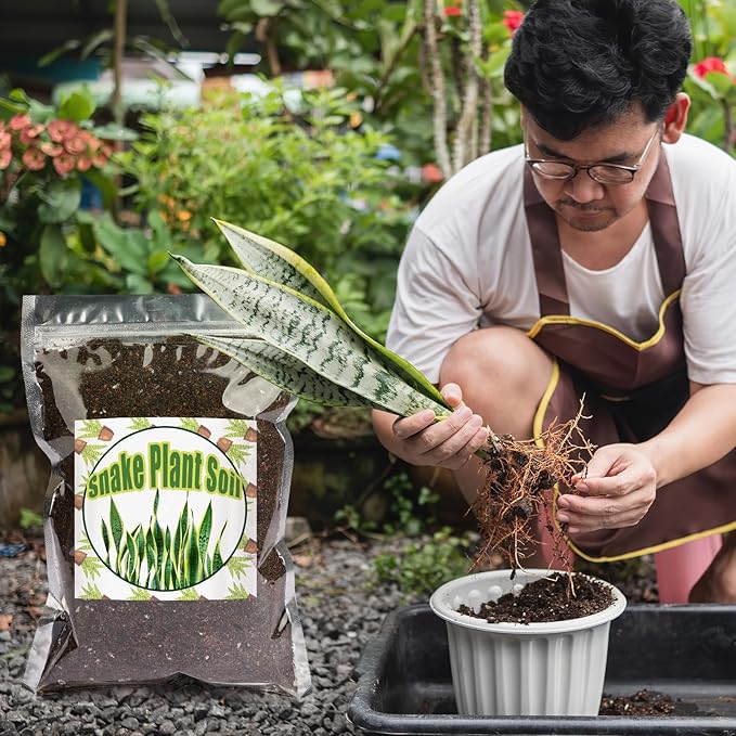 Premium Snake Plant Soil Mix 2qt, Indoor Plants Potting Mix for All Potted Snake Plants, Promote Healthy Growth and Easy Care