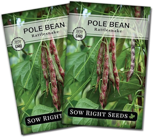 Sow Right Seeds - Rattlesnake Pole Bean Seeds for Planting - Non-GMO Heirloom Packet with Instructions to Plant an Outdoor Home Vegetable Garden - Stringless Variety - Tender with Purple Streaks (2)