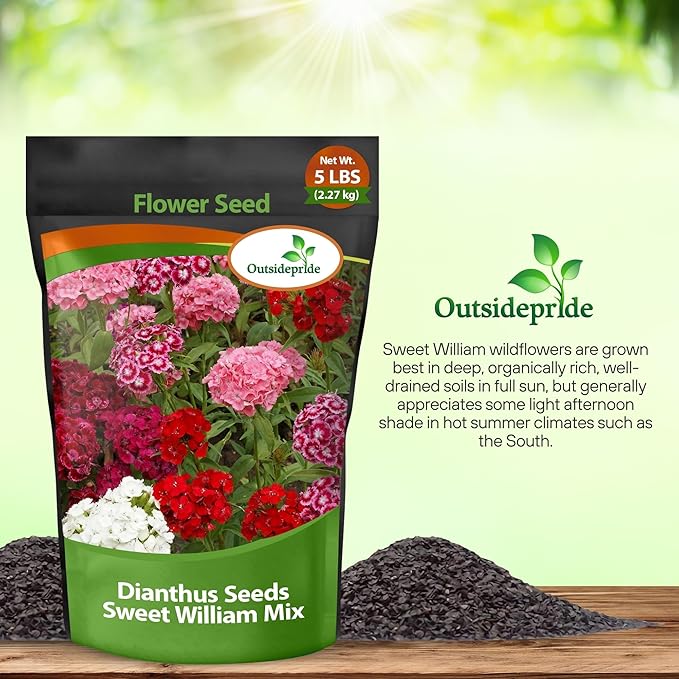 Outsidepride Sweet William Dianthus Seeds - 5 Lbs. Perennial, Winter Hardy Wildflower Seeds w/Fragrant & Vibrant Blooms, Ideal for Pollinator Gardens, Cut Flowers & Colorful Landscaping