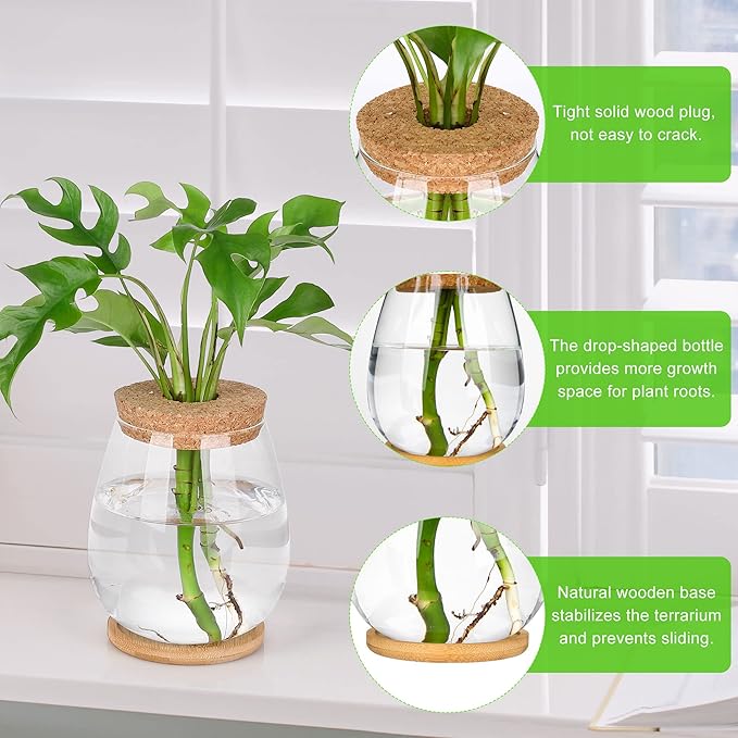Propagation Stations, 2 Pcs Glass Planters with Wooden Tray & Lid, 5.2x4.2 inches, for Hydroponic Plants, Home Decor, Gardening Gifts for Women