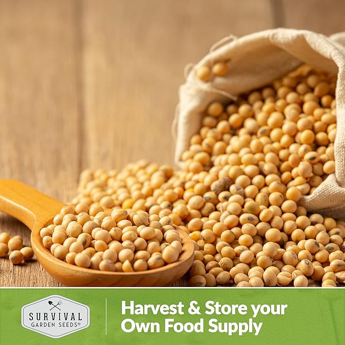 Survival Garden Seeds - Chiba Green Soybean Seed for Planting - Packet with Instructions to Plant and Grow Protein-Rich Edamame Pods in Your Home Vegetable Garden - Non-GMO Heirloom Variety