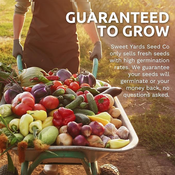 Organic Thai Basil Seeds – Seed Packet of Over 350 Open Pollinated Non-GMO Seeds – Sweet Yards Seed Co.