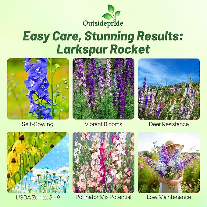 Outsidepride 1/4 lb. Delphinium Rocket Larkspur Wild Flower Seed Mix for Planting