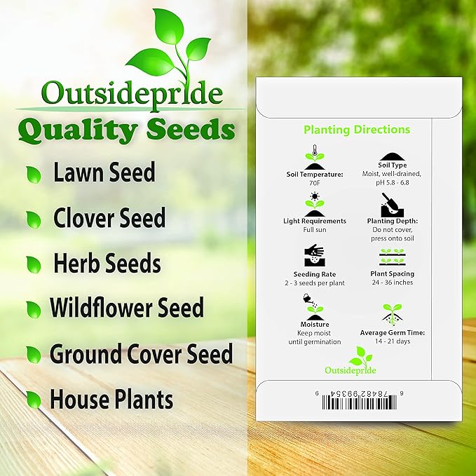 Outsidepride 20 Seeds Perennial Hibiscus Mahogany Splendor Flower Seeds for Planting