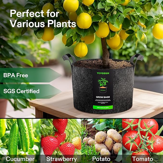 VIVOSUN 10-Pack 20 Gallon Grow Bags, Reinforced Planter Fabric Pots for Gardening Black