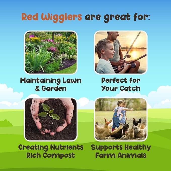 Red Wigglers Composting Worms - 1lb Red Worms for Composting Bin, for Plants or Gardening, Compost Worm for Soil Fertility & Worm Farm, Easy to Manage
