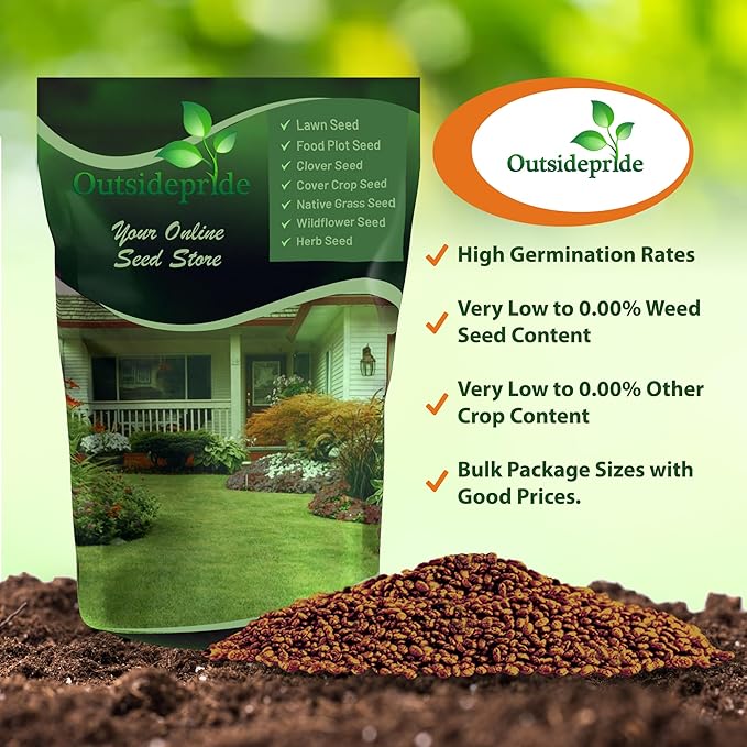 Outsidepride Perennial Red Clover Seeds - 40 lbs. Self-Seeding, Nitrocoated, Inoculated Clover Seeds for Lawn, Yard, Forage, Pasture, Hay, Nitrogen Fixation, Soil Improvement & Crop Rotation Programs