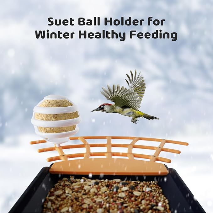 Birdkiss Smart Camera Bird Feeder with Solar Pannel, DIY Different Add-Ones Including Suet Ball, Jelly Feeder, Mini Hummingbird Feeder, Auto Capture Bird Full HD Videos, Ideal Present for Bird Lovers