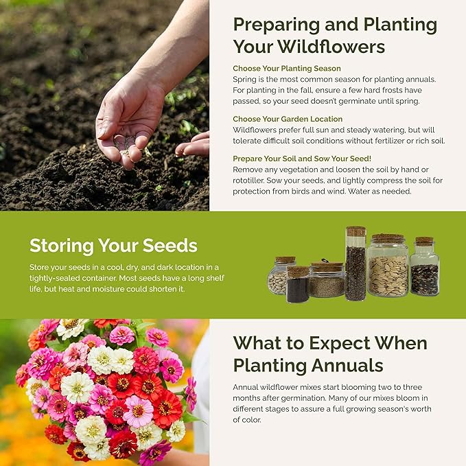 Eden Brothers Zin Master Flower Mixed Seeds for Planting, 1 lb, 480,000+ Seeds with California Giant, Mexican, Lilliput Zinnia | Attracts Pollinators, Plant in Spring, Zones 3, 4, 5, 6, 7, 8, 9, 10