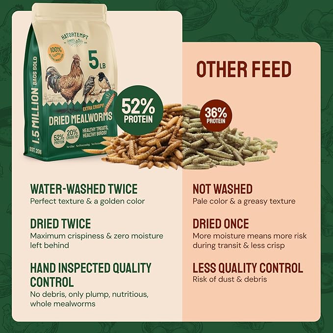 Hatortempt Chicken Feed Dried Mealworms - 5 Lb, Non-GMO & Organic - High-Protein Mealworms for Wild Birds & Ducks, Chicken Treats & Bird Food