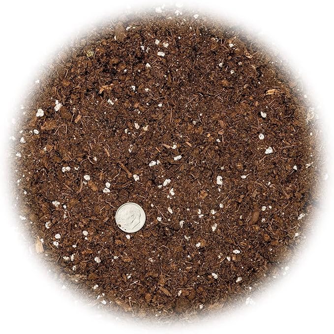 Citrus Tree Potting Soil Mix, Special Blend for Indoor Oranges, Lemons, Limes and More - (3 Quart Bag)