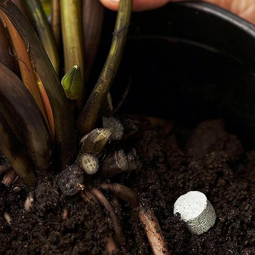 Aquatic Plant Fertilizer for Water Lily and Lotus | Great for Use in a Pond & Aquarium | Perfect Plant Food (60 Count)