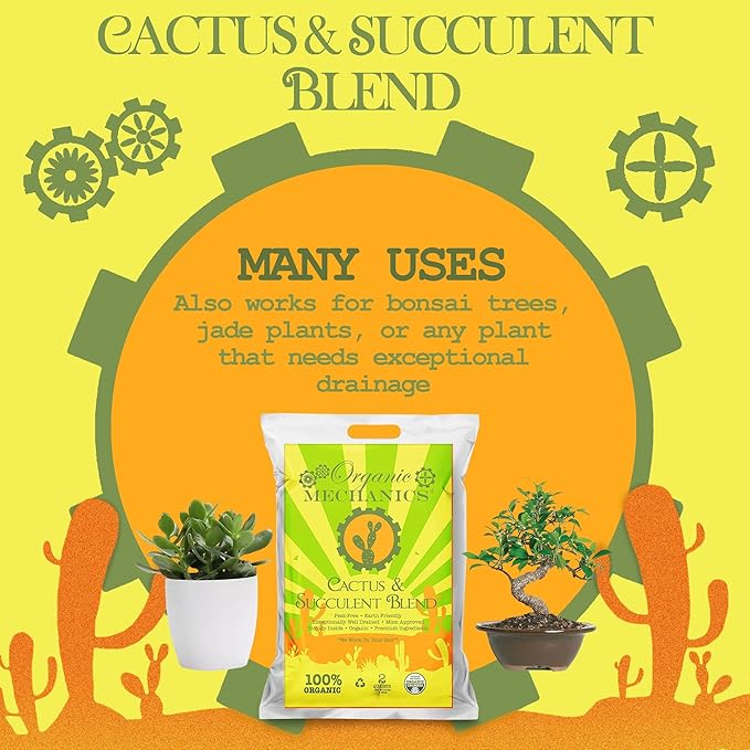 Cactus and Succulent Blend Potting Soil, 2 Quarts – Enhances Root Growth & Water Drainage with Biochar, Rice Hulls, and Worm Castings - Peat-Free, Eco-Friendly & Locally Sourced