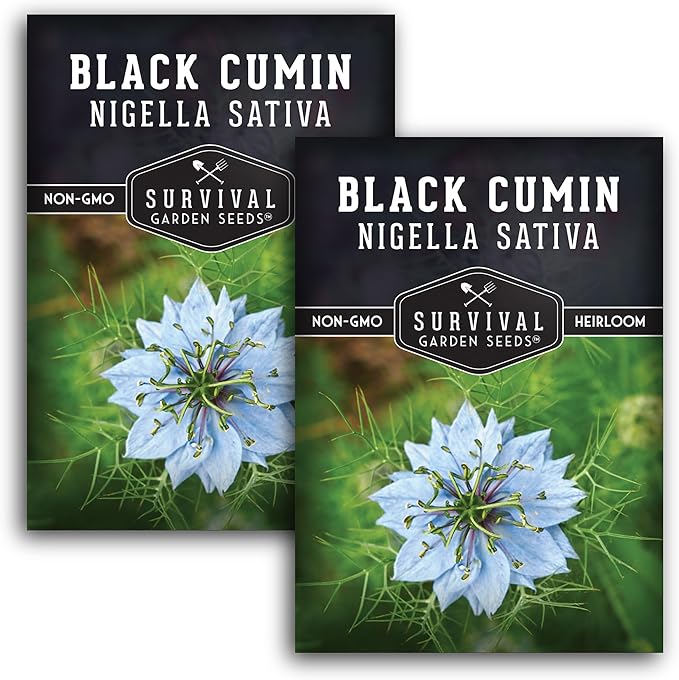 Black Cumin Seed for Planting - 2 Packets with Instructions to Plant and Grow Beneficial Nigella Sativa Plants in Your Home Vegetable Garden - Non-GMO Heirloom Variety - Survival Garden Seeds