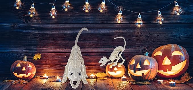 GIFTEXPRESS 2 Pack Real Size Cat Skeleton - 20" Long Creepy Kitten Skeletons with Posable Tail Halloween Decor - Indoor & Outdoor Haunted House Scary Animal Party Decoration