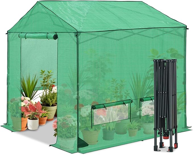 COOS BAY 8x8 FT Portable Walk-in Greenhouse, Pop up Outdoor Green House with Power Access Openings, Zippered Doors & Windows, Durable PE Cover, Green