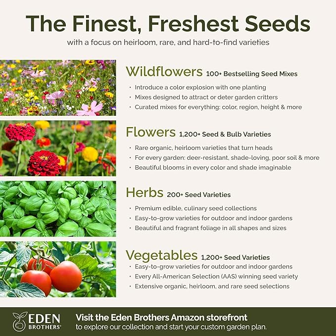 Eden Brothers Vermont Wildflower Mixed Seeds for Planting, 1 lb, 480,000+ Seeds with Cosmos, Cornflower | Attracts Pollinators, Plant in Spring or Fall, Zones