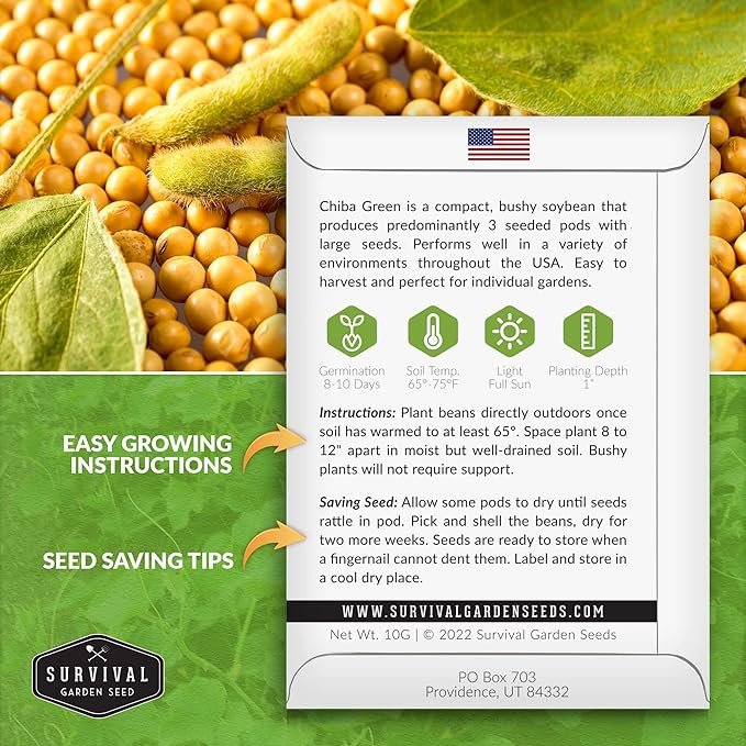 Survival Garden Seeds - Chiba Green Soybean Seed for Planting - 2 Packs with Instructions to Plant and Grow Protein-Rich Edamame Pods in Your Home Vegetable Garden - Non-GMO Heirloom Variety